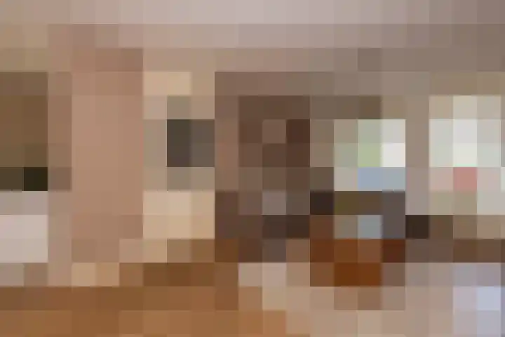 Baronielaan 31 Goirle thumbnail 8