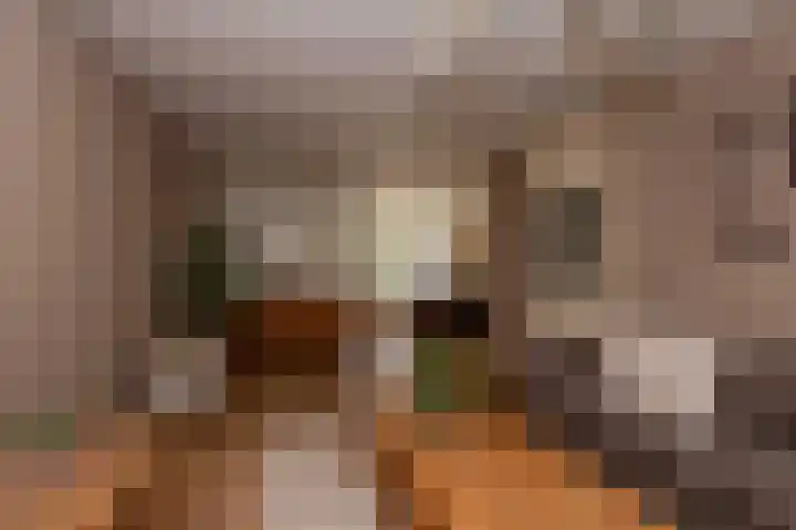 Baronielaan 31 Goirle thumbnail 9