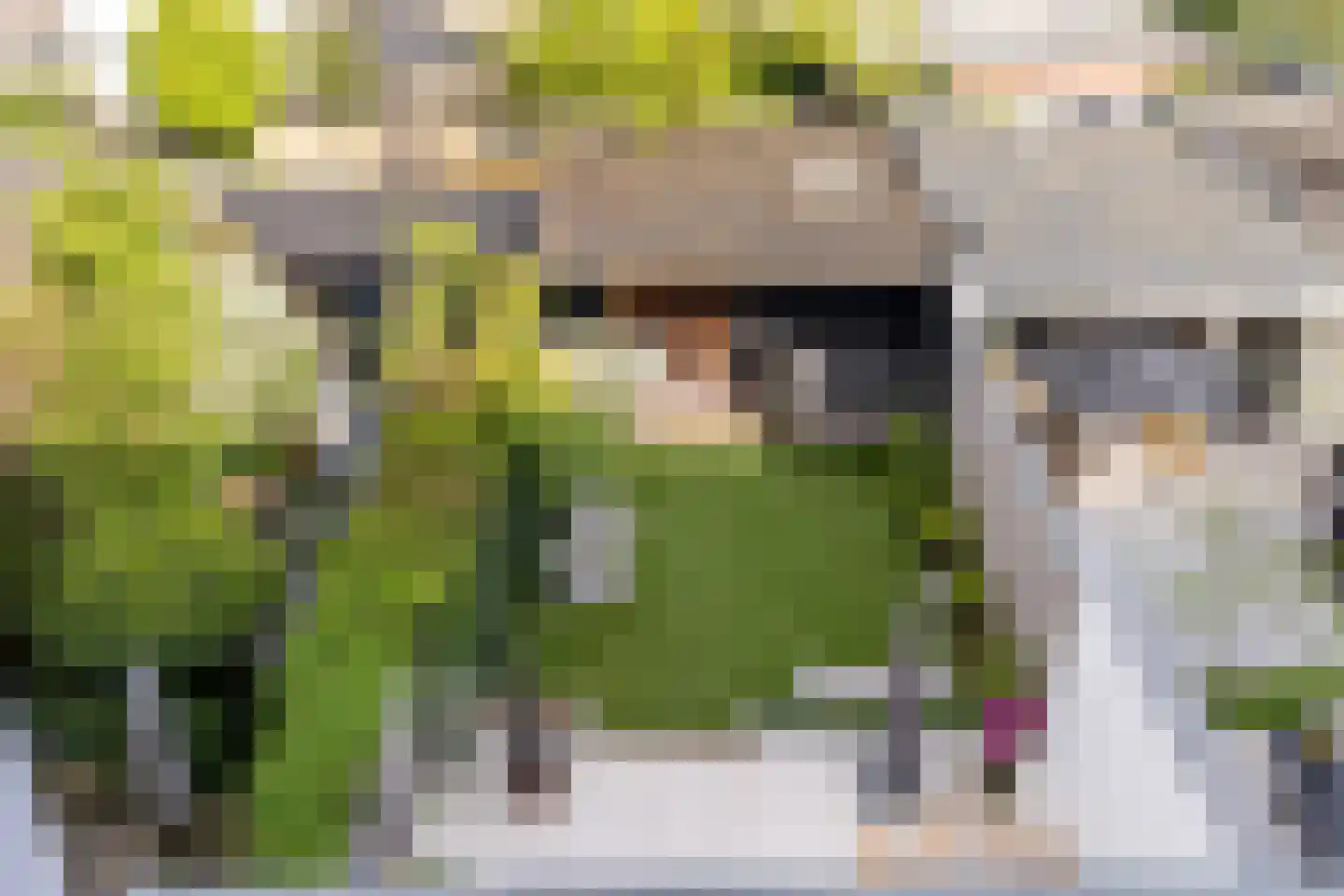 Baronielaan 33 Breda thumbnail 20