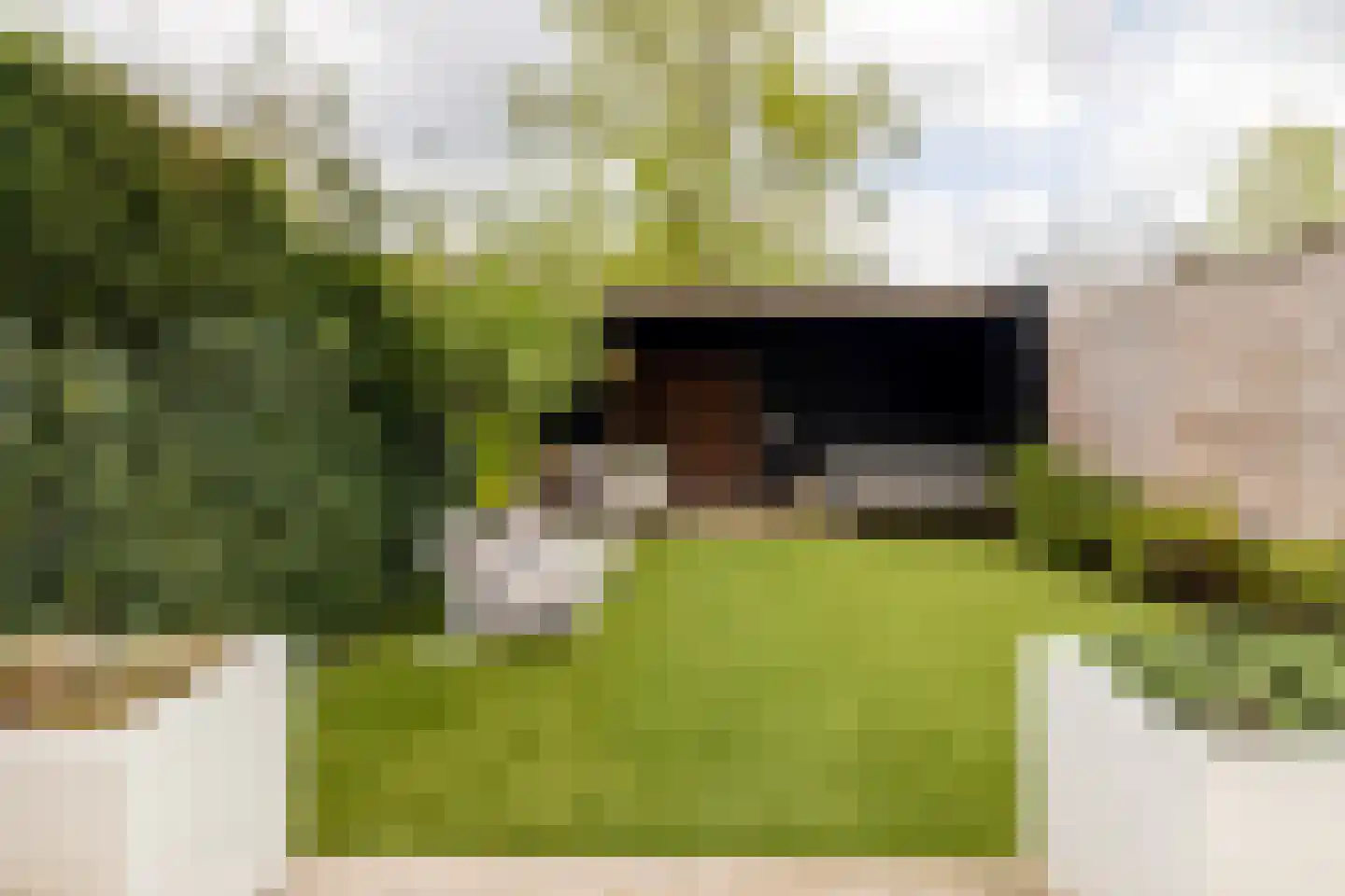 Baronielaan 33 Breda thumbnail 24