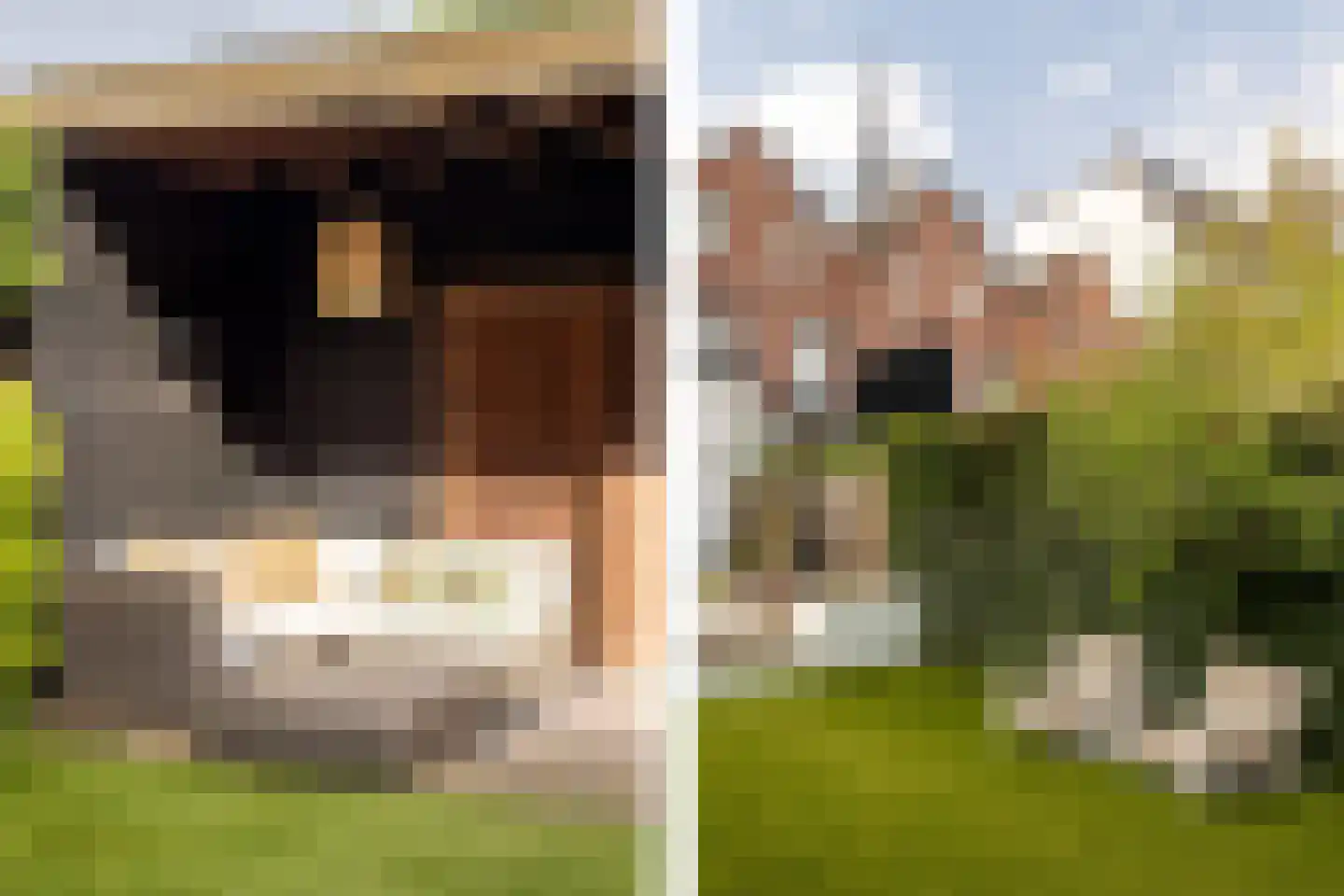 Baronielaan 33 Breda thumbnail 25