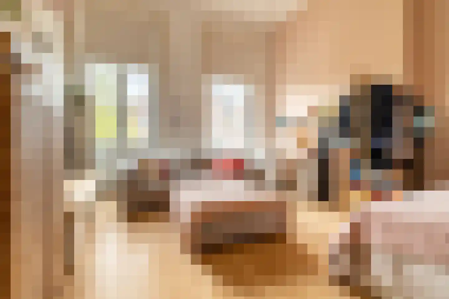 Baronielaan 33 Breda thumbnail 29