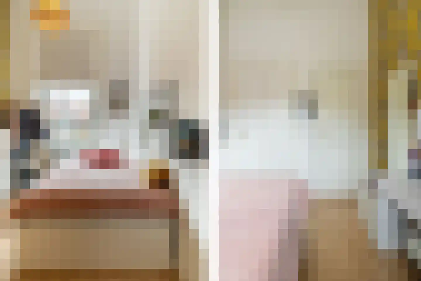 Baronielaan 33 Breda thumbnail 36