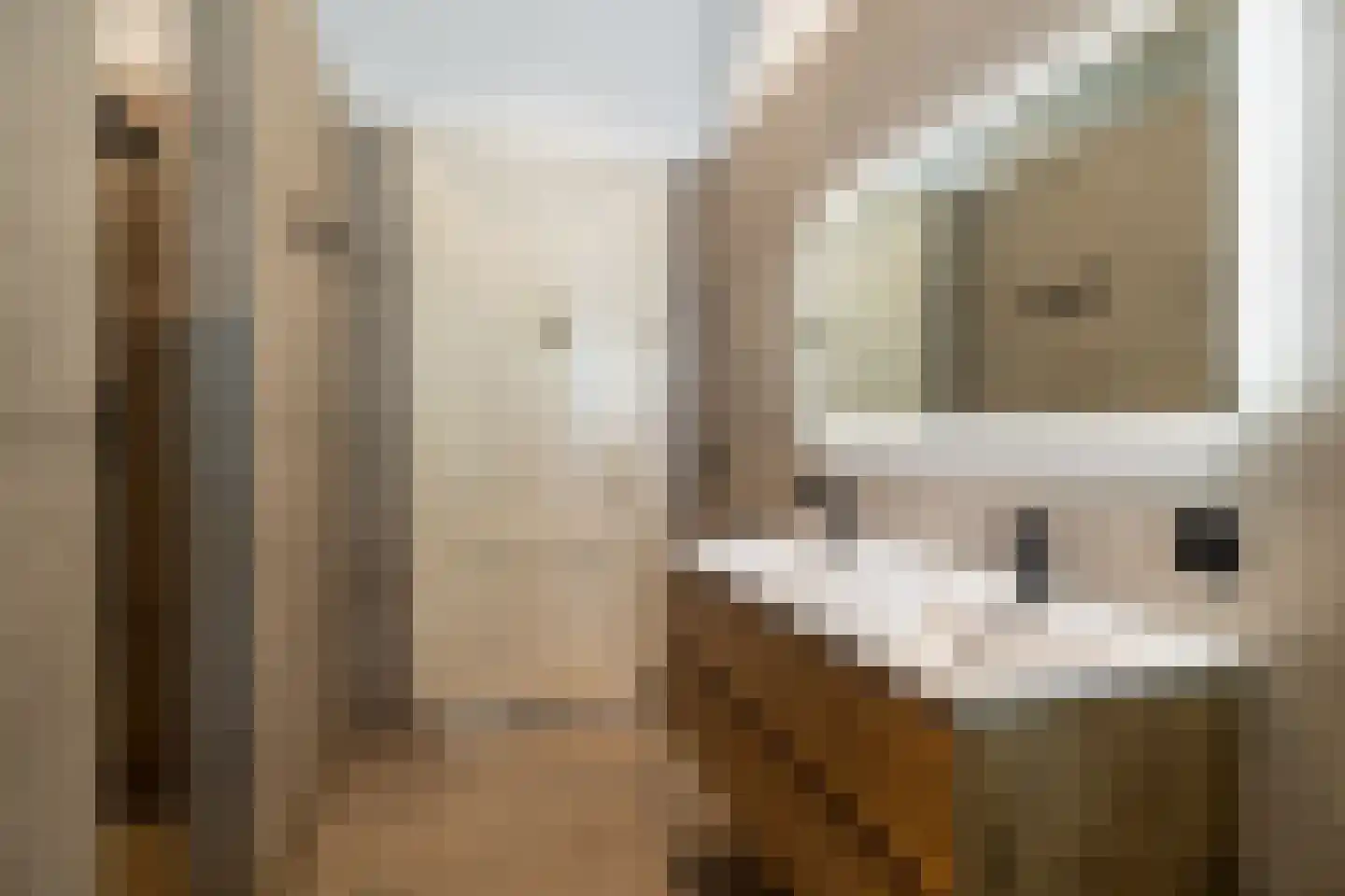 Baronielaan 33 Breda thumbnail 37