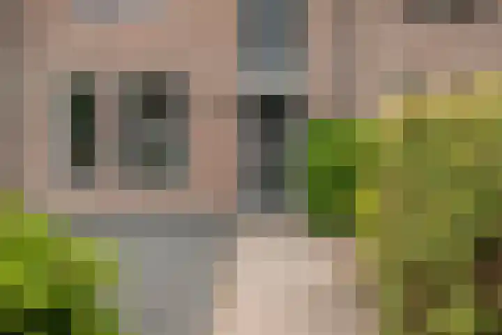 Baronielaan 43 Goirle thumbnail 13
