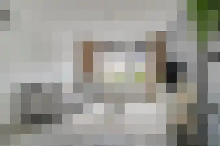 Baronielaan 43 Goirle thumbnail 18