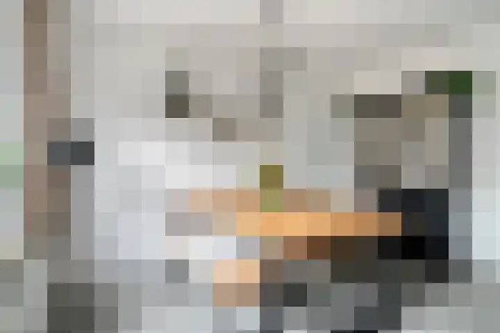 Baronielaan 43 Goirle thumbnail 22