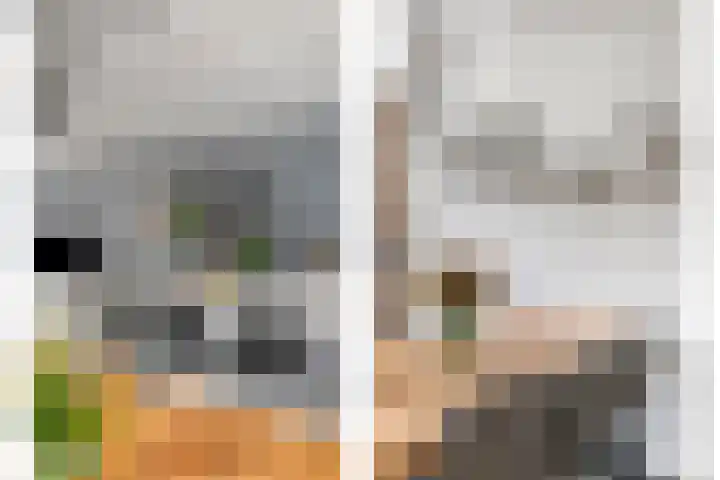 Baronielaan 43 Goirle thumbnail 23