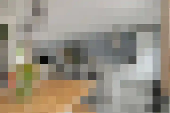 Baronielaan 43 Goirle thumbnail 24