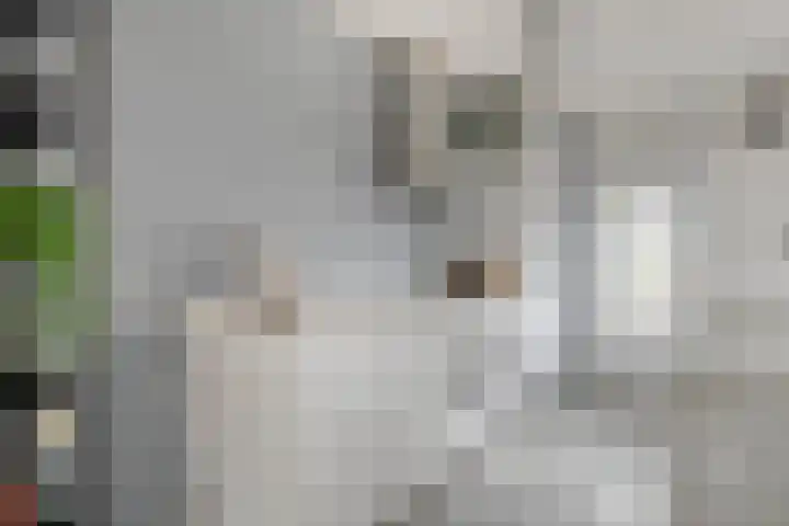 Baronielaan 43 Goirle thumbnail 26