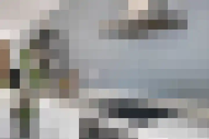 Baronielaan 43 Goirle thumbnail 27