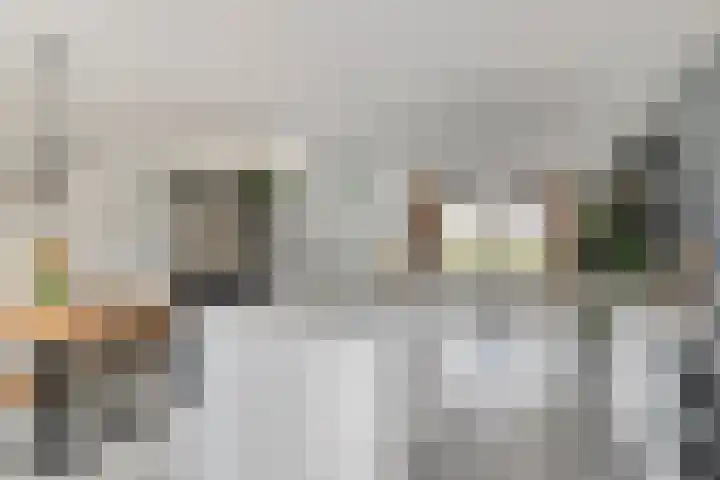 Baronielaan 43 Goirle thumbnail 29