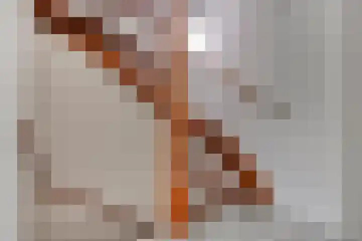 Baronielaan 43 Goirle thumbnail 30