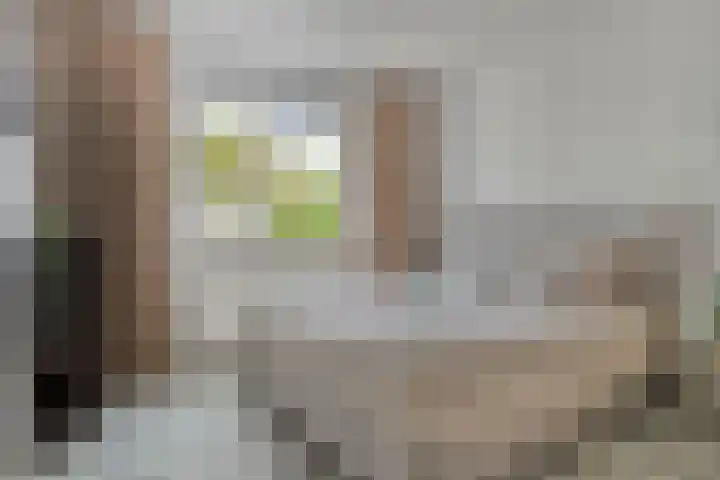 Baronielaan 43 Goirle thumbnail 31