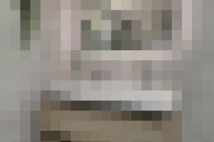 Baronielaan 43 Goirle thumbnail 34