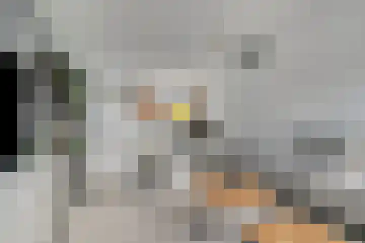 Baronielaan 43 Goirle thumbnail 4