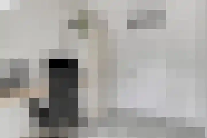 Baronielaan 43 Goirle thumbnail 40