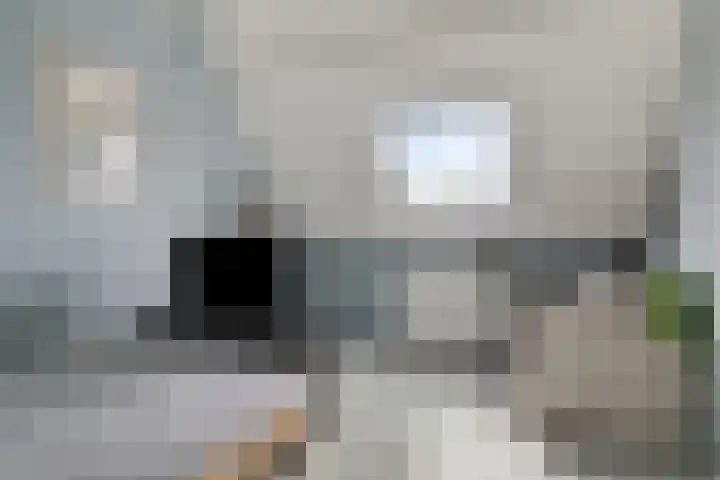Baronielaan 43 Goirle thumbnail 44