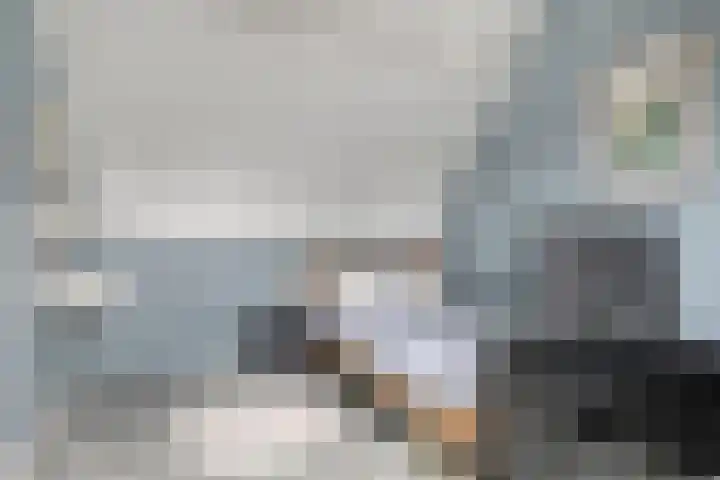 Baronielaan 43 Goirle thumbnail 45