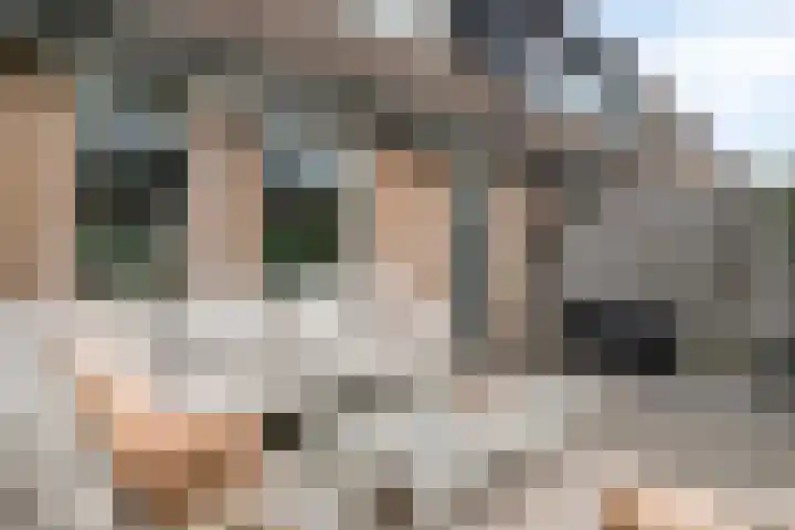 Baronielaan 43 Goirle thumbnail 46