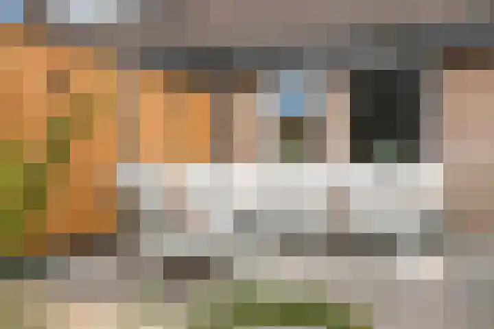 Baronielaan 43 Goirle thumbnail 47