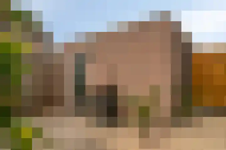 Baronielaan 43 Goirle thumbnail 50