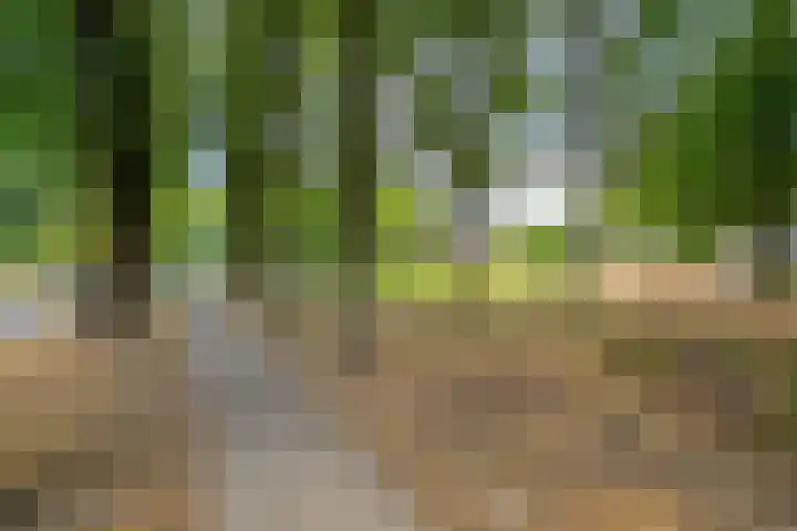 Baronielaan 43 Goirle thumbnail 52