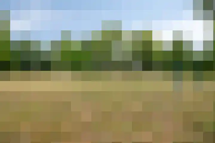 Baronielaan 43 Goirle thumbnail 53