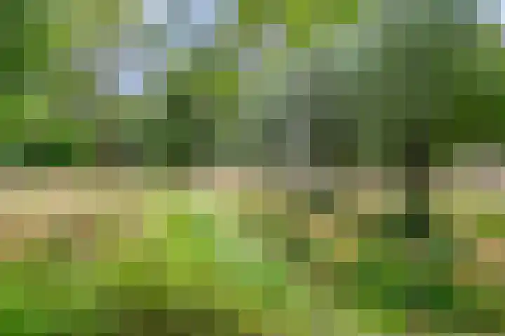 Baronielaan 43 Goirle thumbnail 55