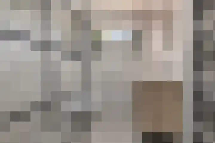 Baronielaan 43 Goirle thumbnail 6