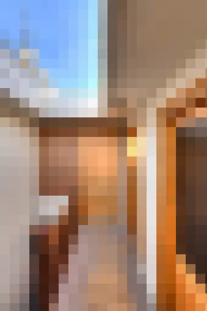 Baronielaan 47 A Breda thumbnail 31