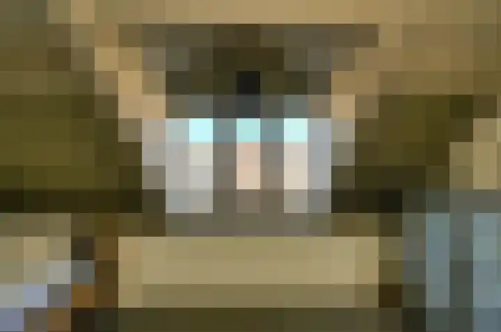 Baronielaan 47 A Breda thumbnail 33