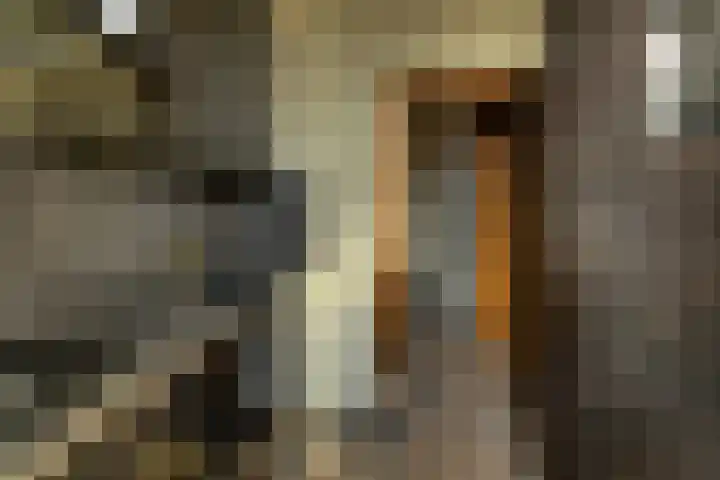 Baronielaan 47 A Breda thumbnail 4