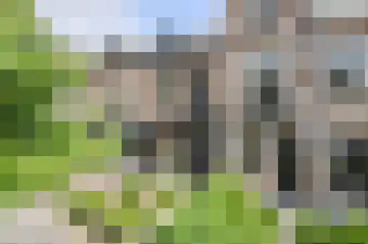 Baronielaan 47 A Breda thumbnail 49