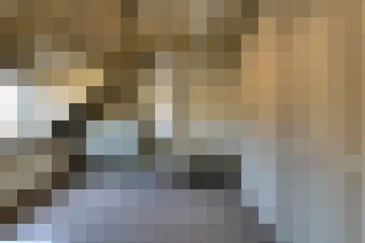 Baronielaan 47 A Breda thumbnail 6