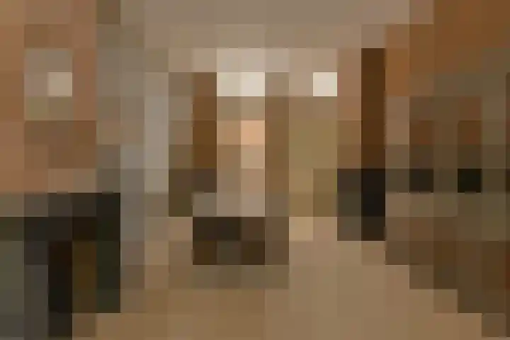 Baronielaan 47 Breda thumbnail 12