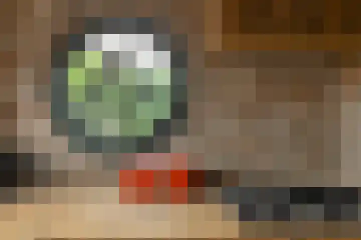 Baronielaan 47 Breda thumbnail 23