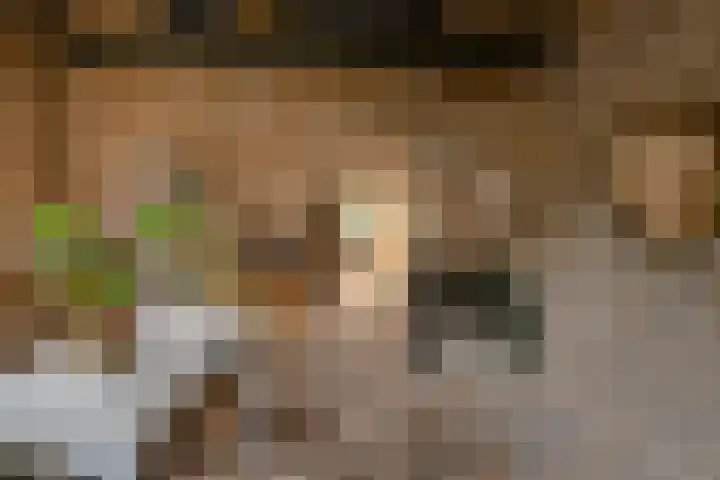 Baronielaan 47 Breda thumbnail 25