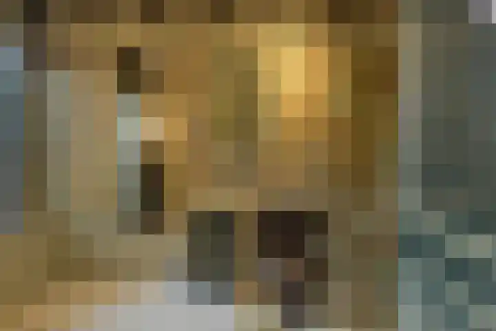 Baronielaan 47 Breda thumbnail 31