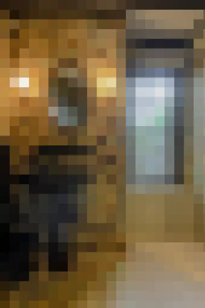 Baronielaan 47 Breda thumbnail 32