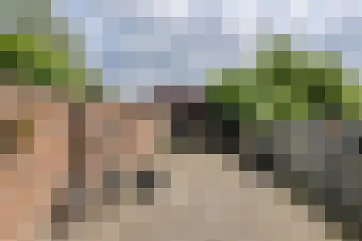 Baronielaan 47 Breda thumbnail 35