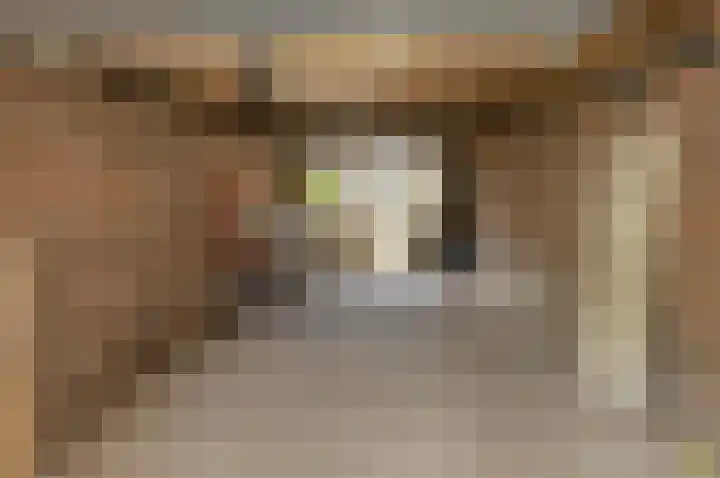 Baronielaan 47 Breda thumbnail 39