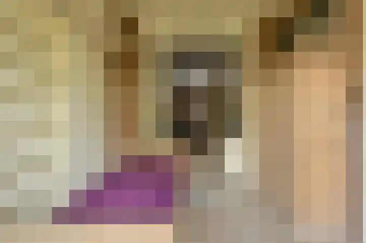 Baronielaan 47 Breda thumbnail 4