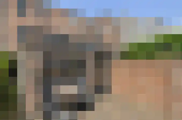 Baronielaan 47 Breda thumbnail 41