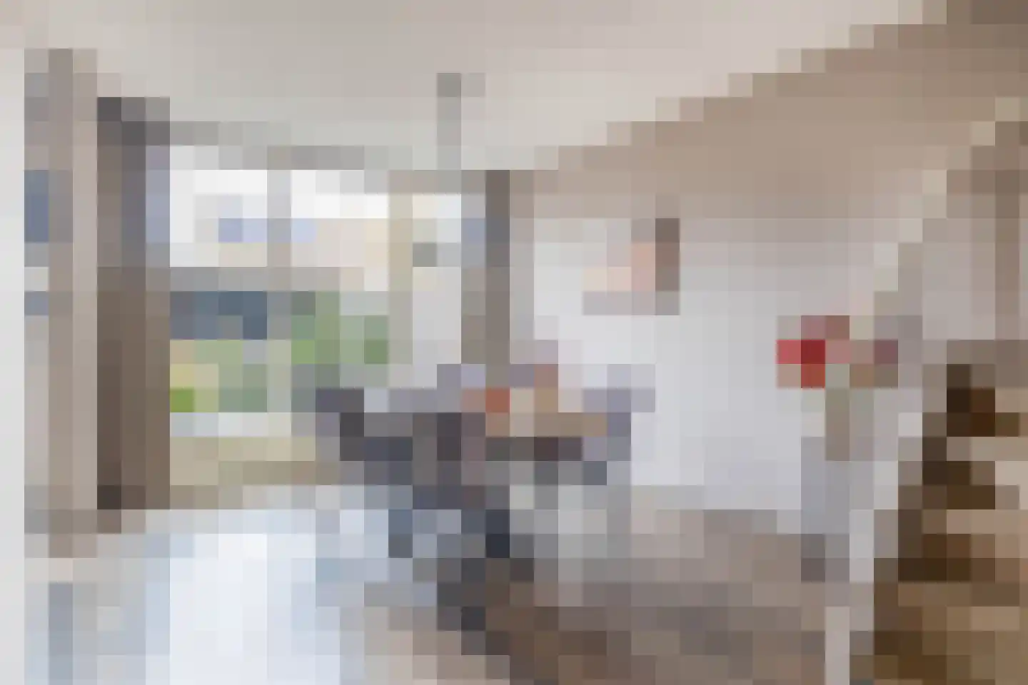 Baronielaan 9 Kaatsheuvel thumbnail 12