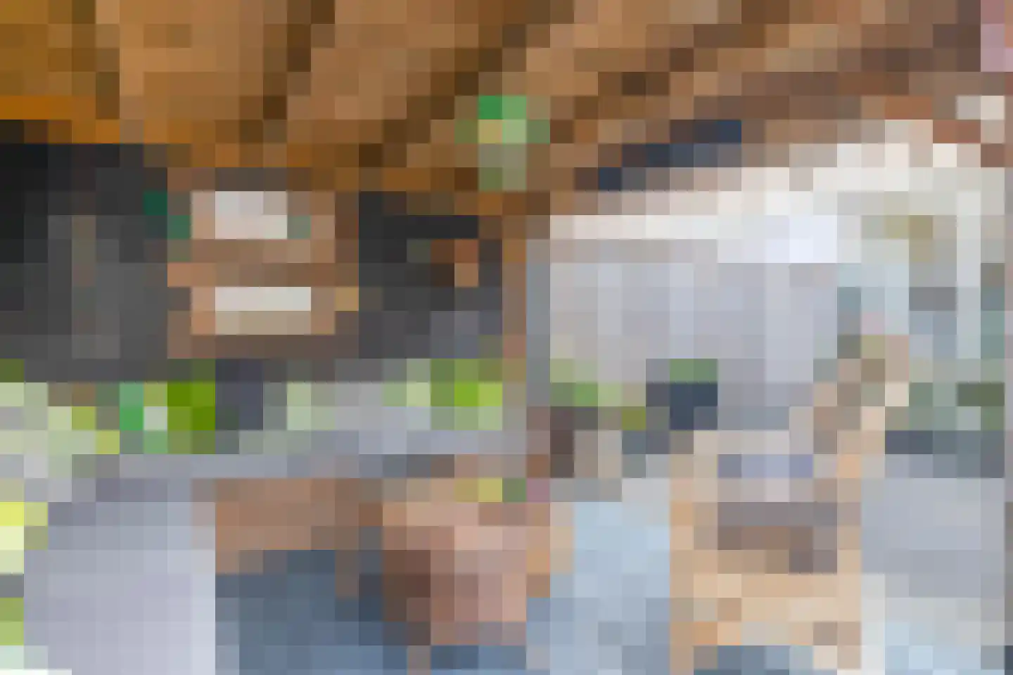 Baronielaan 9 Kaatsheuvel thumbnail 23
