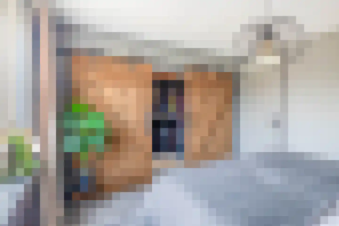 Baronielaan 9 Kaatsheuvel thumbnail 24