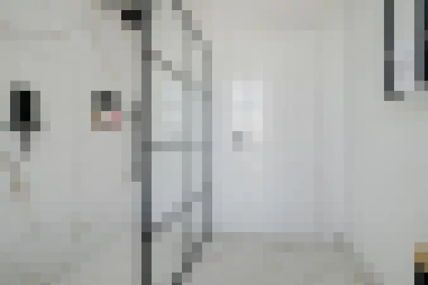 Baronielaan 90 Breda thumbnail 38