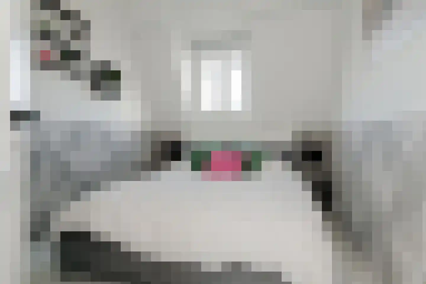 Baronielaan 90 Breda thumbnail 41