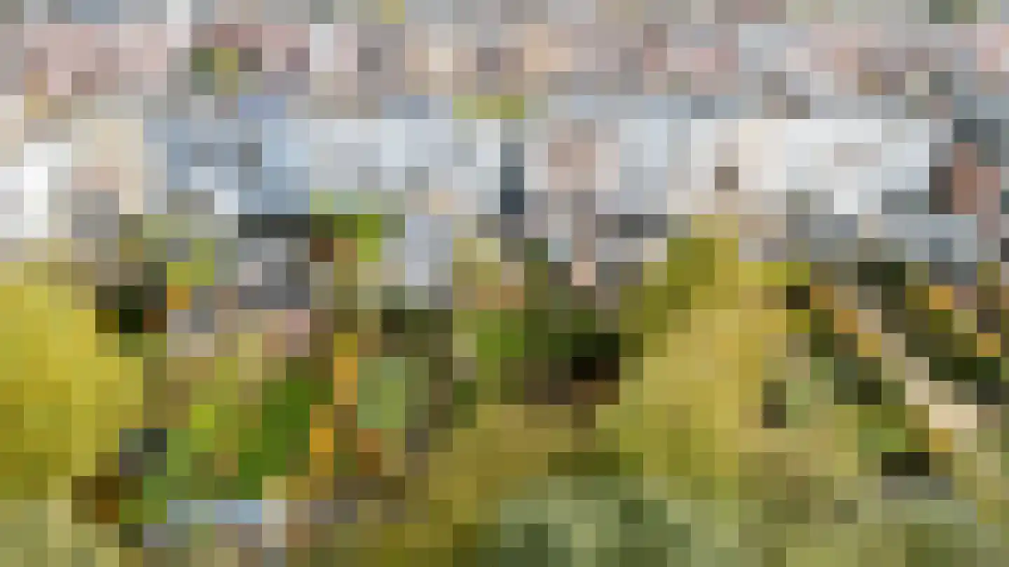 Baronielaan 90 Breda thumbnail 45